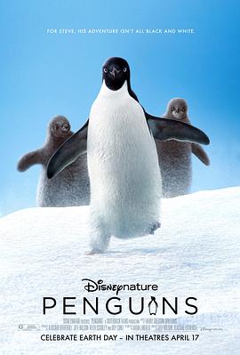 讲一只企鹅的动画片