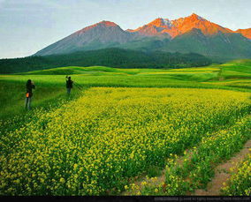 祁连山自然保护区